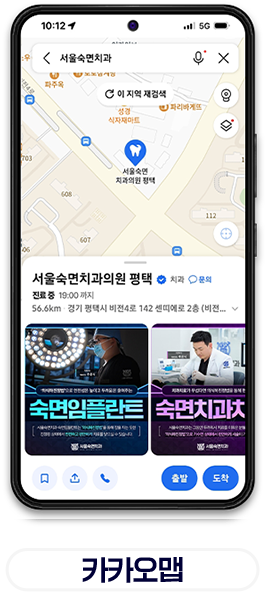카카오맵