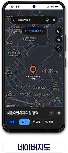 네이버지도